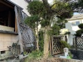 既設住宅解体